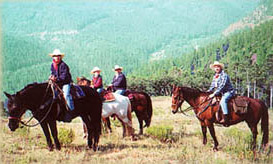 Pack Trips