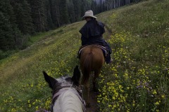 Riding with wrangler Michelle Bland of the Circle K Ranch, near the Dolores River, south of Rico, Colorado