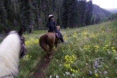 Riding with wrangler Michelle Bland of the Circle K Ranch, near the Dolores River, south of Rico, Colorado